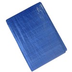 Ficha técnica e caractérísticas do produto Lona Carreteiro 6x4m Leve Azul Starfer