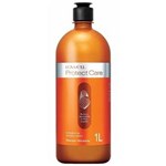 Ficha técnica e caractérísticas do produto Lowell Protect Care Shampoo Hidratante - 1000 ML