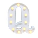 Ficha técnica e caractérísticas do produto Luminária Letra Q Led Decorativa Luminoso Festa Decoração