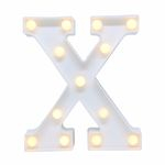 Ficha técnica e caractérísticas do produto Luminária Letra X Led Decorativa Luminoso Festa Decoração
