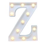 Ficha técnica e caractérísticas do produto Luminária Letra Z De Led Decorativa Luminoso Festa Decoração