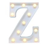 Ficha técnica e caractérísticas do produto Luminária Letra Z Led Decorativa Luminoso Festa Decoração