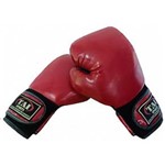Ficha técnica e caractérísticas do produto Luva de Boxe / Muay Thai Vermelha 12oz