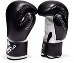 Ficha técnica e caractérísticas do produto Luva de Boxe Pro Combat 14 Oz Preta