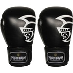 Luva de Boxe Trainning Preta 12OZ - Pretorian