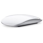 Ficha técnica e caractérísticas do produto Magic Mouse Apple