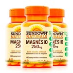 Magnésio 250mg - 3 Un de 100 Comprimidos - Sundown