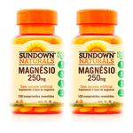 Ficha técnica e caractérísticas do produto Magnésio 250mg - 2 un de 100 Comprimidos - Sundown