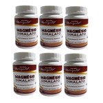 Ficha técnica e caractérísticas do produto Magnesio Dimalato 6 X 60 Cápsulas Sem Gluten Sem Lactose Nutrigold - Menta - 1 Unidade