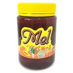 Mel Puro de Abelha 500g - Eleito o Melhor Mel do Mundo