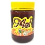 Ficha técnica e caractérísticas do produto Mel Puro de Abelha 500G - Eleito o Melhor Mel do Mundo