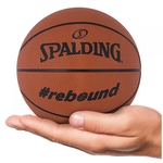 Ficha técnica e caractérísticas do produto Minibola de Basquete Spalding NBA Rebound