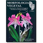 Ficha técnica e caractérísticas do produto Morfologia Vegetal: Organografia e Dicionário