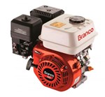 Ficha técnica e caractérísticas do produto MOTOR a Gasolina B4T 5,5CV H Partida Manual 163CC BRANCO