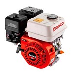 Ficha técnica e caractérísticas do produto Motor à Gasolina Branco B4T 8,0cv EIXO H - Partida Manual