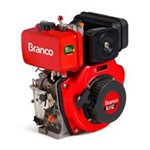 Ficha técnica e caractérísticas do produto Motor Branco a Diesel BD-10.0