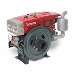 Ficha técnica e caractérísticas do produto Motor Branco Centrifuga Refrigerado a Agua BDA-22 RAE Partida Eletrica