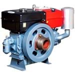 Ficha técnica e caractérísticas do produto Motor Diesel 24Hp Refrigerado a Água 1194Cc Tdw22d Toyama