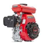 Ficha técnica e caractérísticas do produto Motor Estacionário 2.5Hp Á Gasolina Ge250 Kawashima