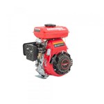 Ficha técnica e caractérísticas do produto Motor Estacionário Kawashima GE 250 - 2,5 HP Gasolina