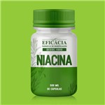 Ficha técnica e caractérísticas do produto Niacina 100 Mg - 30 Cápsulas - Farmácia Eficácia