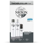 Ficha técnica e caractérísticas do produto Nioxin Hair System 2 - Kit 300ml + 300ml + 100ml