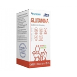 Ficha técnica e caractérísticas do produto Nutrisana Glutamina - 120 Ml