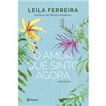 Ficha técnica e caractérísticas do produto O Amor que Sinto Agora - 1ª Ed.