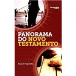 Ficha técnica e caractérísticas do produto Panorama do Novo Testamento - Geográfica