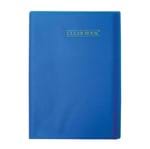 Ficha técnica e caractérísticas do produto Pasta Catálogo 10 Sacos Plásticos Oficio Clear Book YES - Azul