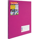 Ficha técnica e caractérísticas do produto Pasta Catálogo com Parafuso de Metal Chies Ofício 50 Sacos Pink