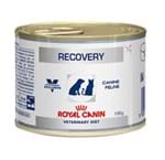 Ficha técnica e caractérísticas do produto Patê Royal Canin Recovery Cão e Gato - 195g