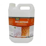 Ficha técnica e caractérísticas do produto Pek Antisais - 5 Litro - Pisoclean