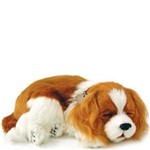 Ficha técnica e caractérísticas do produto Pelúcia Cachorro Cavalier King Perfect Petzzz Imex