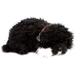 Ficha técnica e caractérísticas do produto Pelúcia Cão D´água - Perfect Petzzz