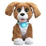 Ficha técnica e caractérísticas do produto Pelúcia Interativa - Furreal Friends - Beagle - Chatty Charlie - Hasbro