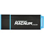 Ficha técnica e caractérísticas do produto Pen Drive Patriot Supersonic Magnum USB 3.0 - 256GB