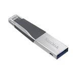Ficha técnica e caractérísticas do produto Pen Drive Sandisk Ixpand Mini Flash Drive 256GB