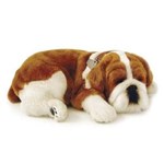Ficha técnica e caractérísticas do produto Perfect Petzzz Cachorro Bulldog - Imex