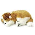 Ficha técnica e caractérísticas do produto Perfect Petzzz Cachorro Lassie - Imex