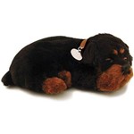 Perfect Petzzz Cachorro Rottweiller - Imex