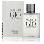 Perfume Acqua Di Gio Pour Homme Masculino Edt 100ml Giorgio Armani