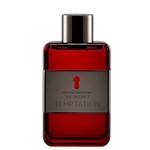 Ficha técnica e caractérísticas do produto Perfume Antonio Banderas The Secret Temptation Eau de Toilette Masculino 100 Ml