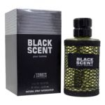 Ficha técnica e caractérísticas do produto Perfume Black Scent I Scents Masculino 100ml Edt