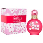 Ficha técnica e caractérísticas do produto Perfume Britney Spears Fantasy In Bloom Eau de Toilette Feminino 100 Ml