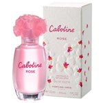 Ficha técnica e caractérísticas do produto Perfume Cabotine Rose Feminino Eau de Toilette | Grés - 100 ML