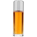 Ficha técnica e caractérísticas do produto Perfume Calvin Klein Escape EDP 100ML Feminino