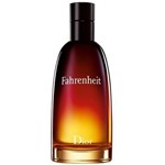 Ficha técnica e caractérísticas do produto Perfume Christian Dior Fahrenheit Eau de Toilette Masculino 200ML