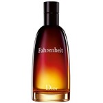 Ficha técnica e caractérísticas do produto Perfume Christian Dior Fahrenheit Eau de Toilette Masculino 100ML