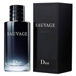Ficha técnica e caractérísticas do produto Perfume Christian Dior Sauvage Eau de Toilette Masculino 100 Ml